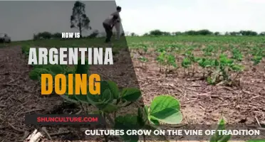 Exploring Argentina's Progress: A Comprehensive Update