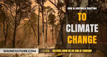 Australia's Climate Change: Adapting to Survive