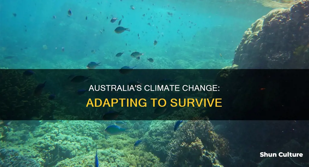 how is australia adapting to climate change