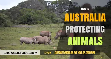 Australia's Animal Protection: Strategies and Initiatives