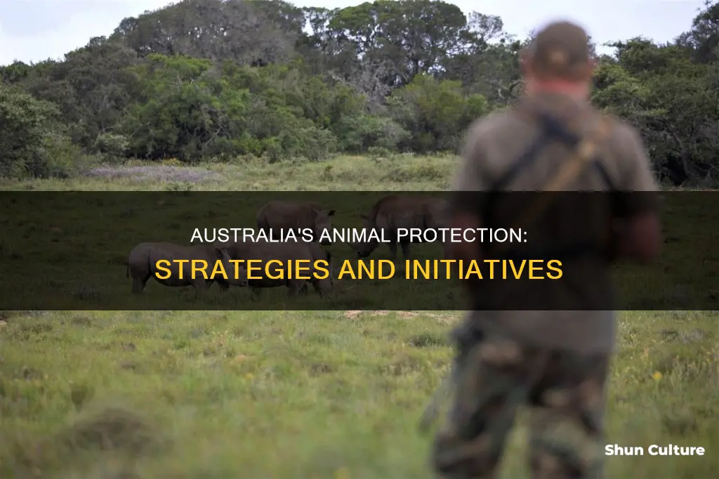 how is australia protecting animals
