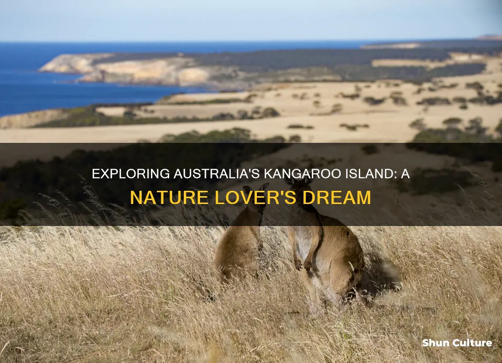 how is australia to kangaroo island