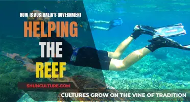 Australia's Government: Saving the Reef with Action