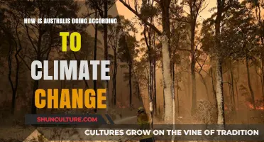 Australis' Climate Change Resilience: An Update