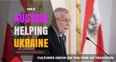 Austria's Aid: Supporting Ukraine's Resilience