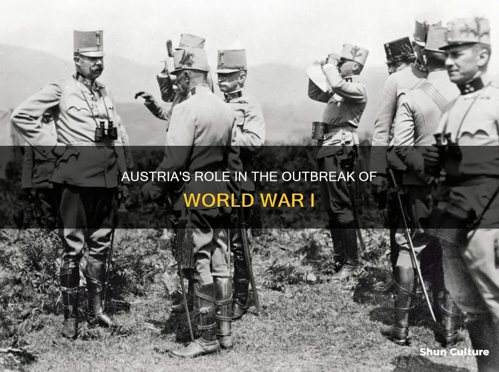 how is austria to blame for world war 1