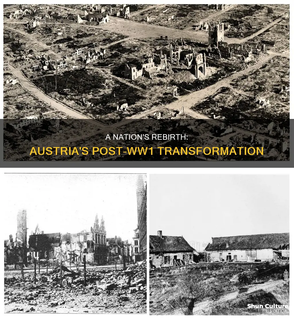 how is austria was after the ww1