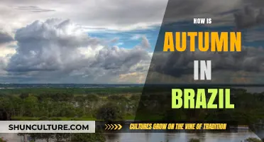 Autumn in Brazil: Climate, Culture, and Unique Seasonal Charm Explained