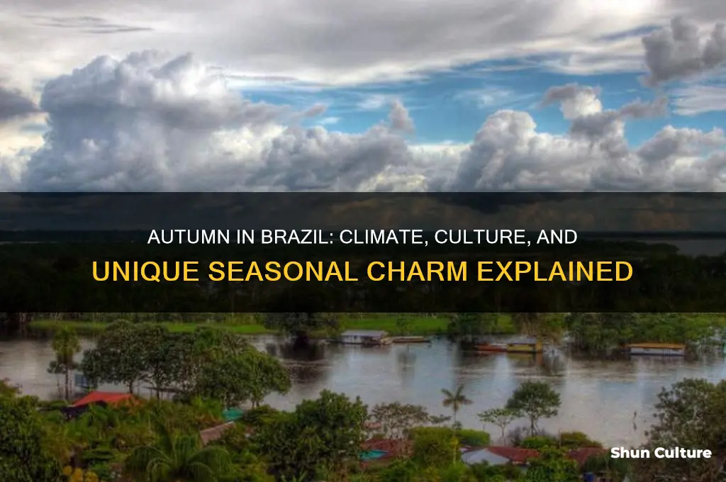 how is autumn in brazil