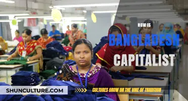 Bangladesh's Capitalist Evolution: Economic Growth, Privatization, and Market Dynamics