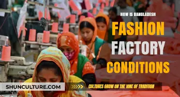 Bangladesh Fashion Factories: Unveiling Labor Conditions and Industry Challenges