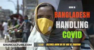 Bangladesh's COVID-19 Response: Strategies, Challenges, and Community Resilience