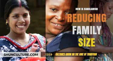 Bangladesh's Success in Reducing Family Size: Strategies and Impact