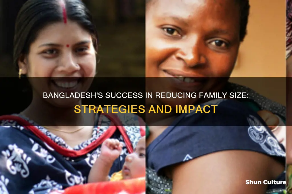 how is bangladesh reducing family size