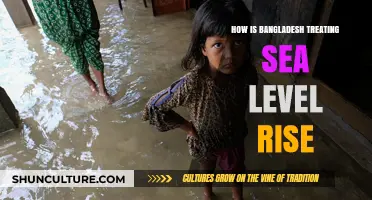 Bangladesh's Battle Against Rising Seas: Adaptation and Resilience Strategies