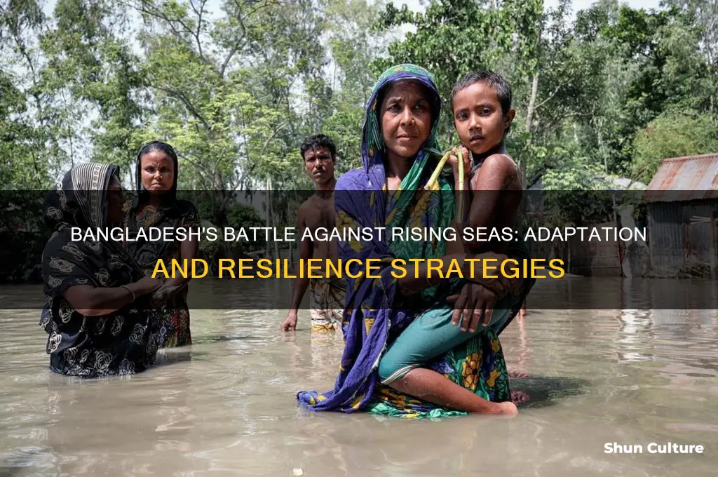 how is bangladesh treating sea level rise