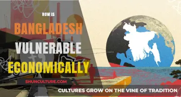 Bangladesh's Economic Vulnerabilities: Challenges, Risks, and Pathways to Resilience
