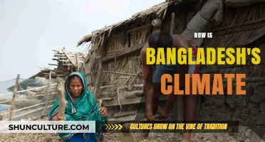 Exploring Bangladesh's Climate: Patterns, Challenges, and Environmental Impact