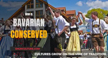 The Conservation of Bavarian Culture: Past and Present