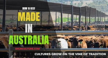 The Aussie Beef Story: Farm to Table