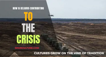 Belarus' Crisis Role: Supporting Russia's Invasion of Ukraine