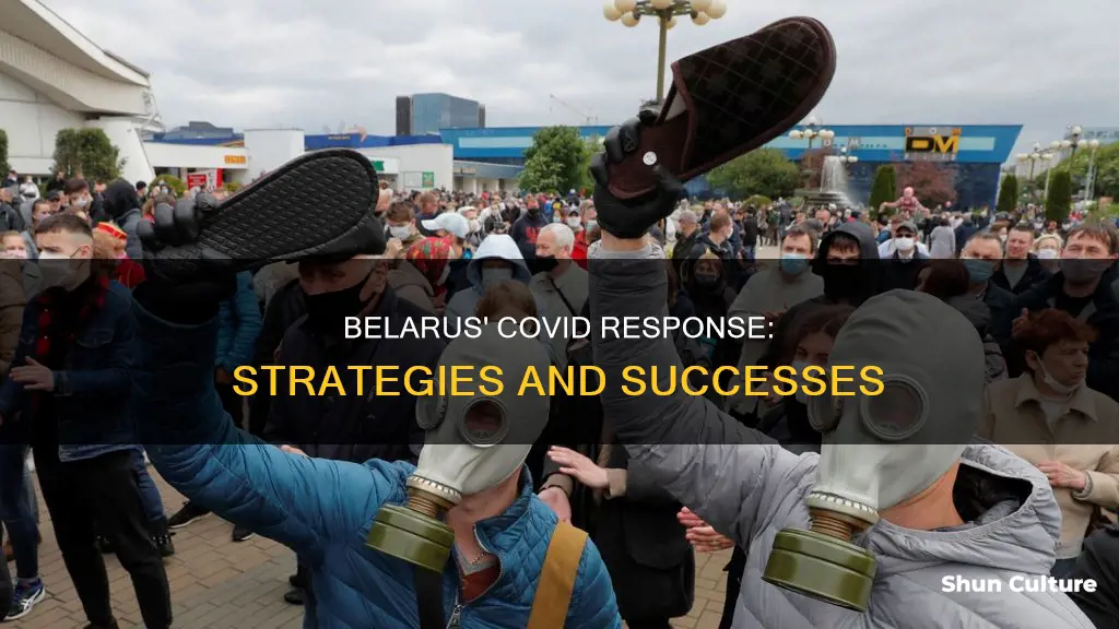 how is belarus doing with covid