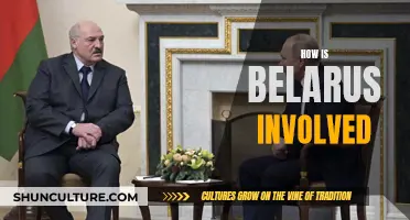 Belarus' Involvement: Understanding the Complex Dynamics