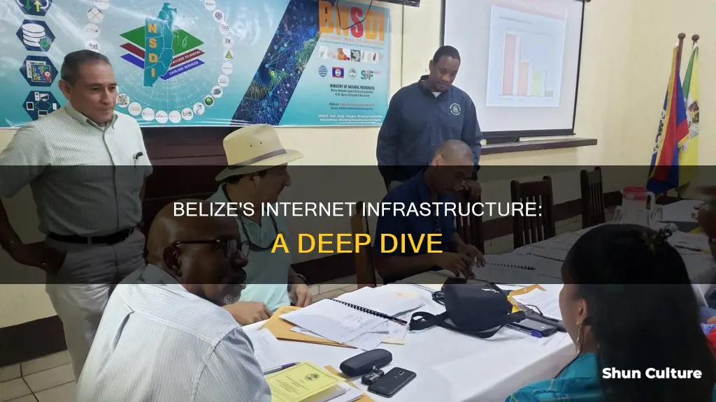 how is belize connected to the internet