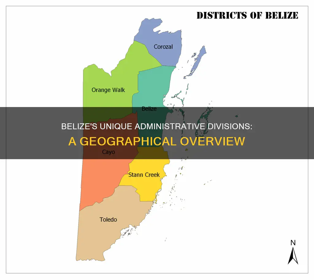 how is belize divided up