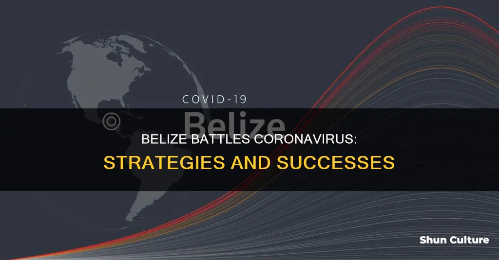 how is belize doing with coronavirus