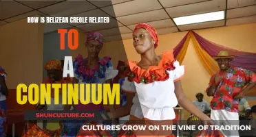 The Fluid Nature of Belizean Creole: Exploring the Continuum