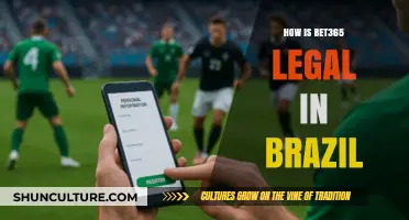 Is Bet365 Legal in Brazil? Understanding the Regulatory Landscape