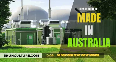 Biodiesel Production in Australia: A Guide