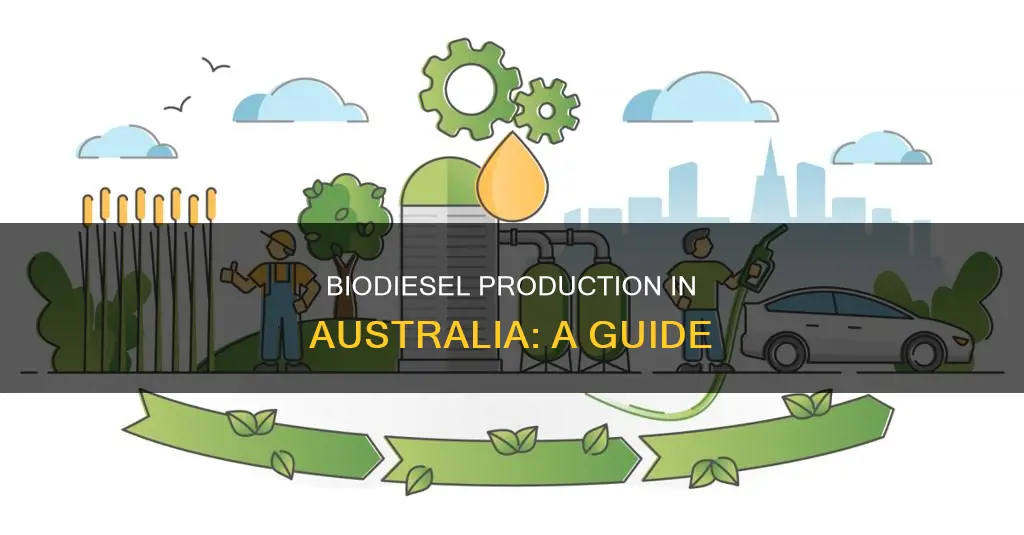 how is biodiesel made in australia