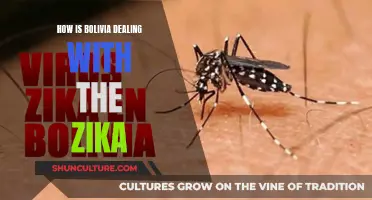 Bolivia's Fight Against Zika: Strategies and Challenges