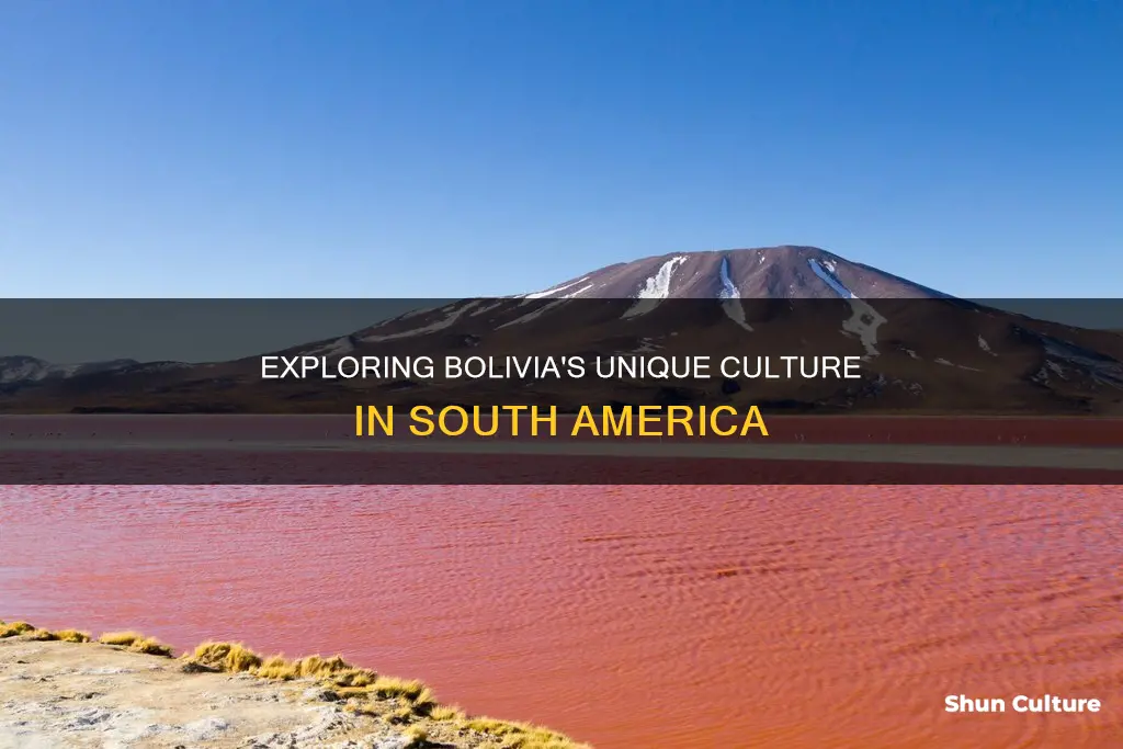 how is bolivia different from other south american countries