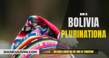 Bolivia's Plurinational Identity: Embracing Diversity and Inclusion