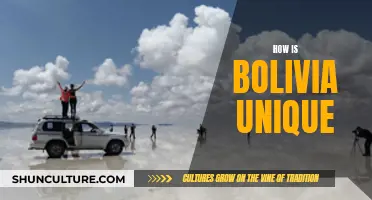 Bolivia's Uniqueness: A Country Like No Other