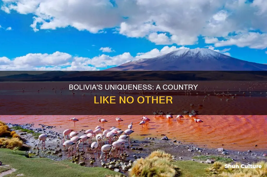 how is bolivia unique