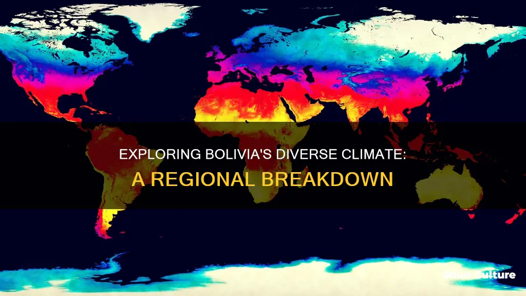 how is bolivian climate divided