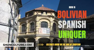 Bolivian Spanish: Unique Flavors of the Language