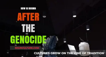 Bosnia's Resilience: Rebuilding and Healing Post-Genocide Legacy