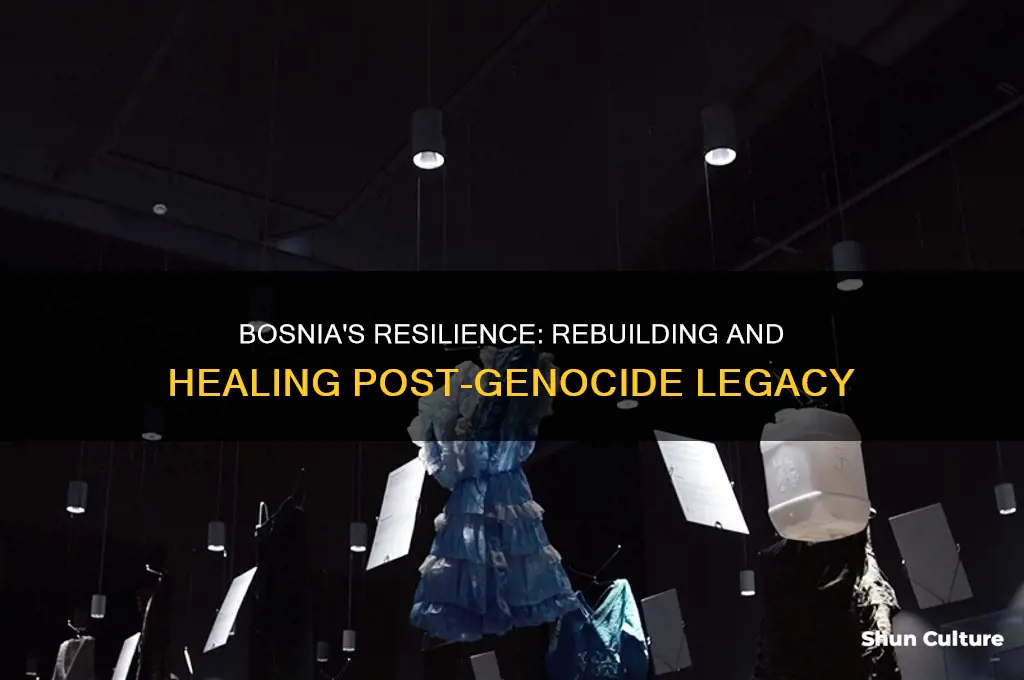 how is bosnia after the genocide