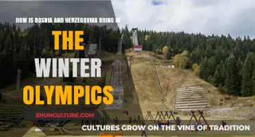 Bosnia and Herzegovina's Winter Olympics Performance: Achievements and Challenges