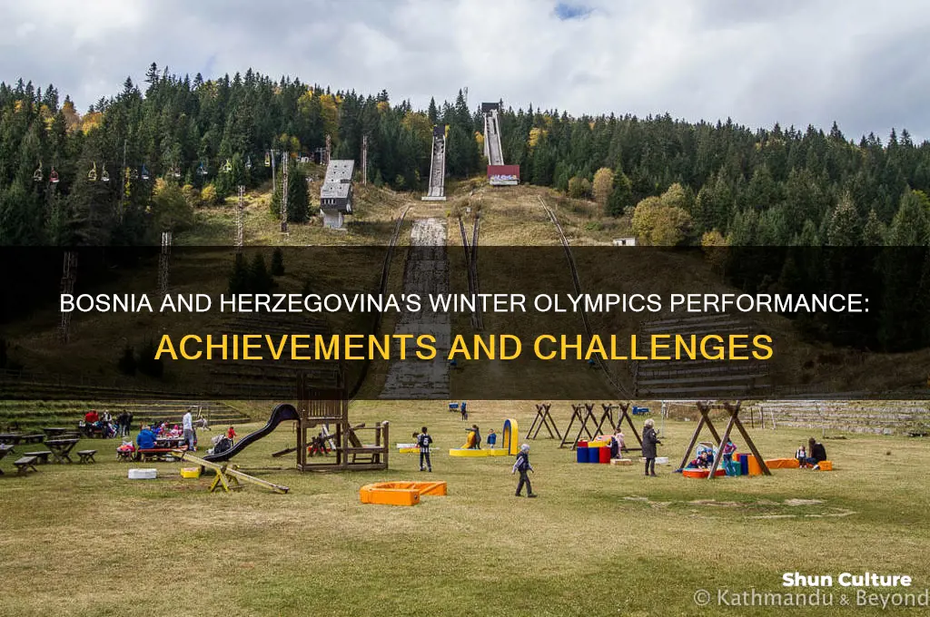 how is bosnia and herzegovina doing in the winter olympics