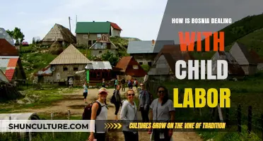 Bosnia's Battle Against Child Labor: Challenges, Progress, and Hope