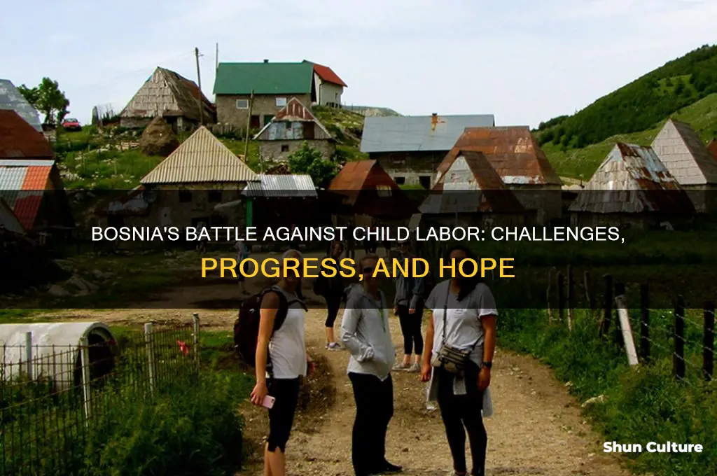 how is bosnia dealing with child labor