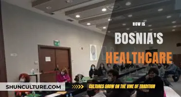 Exploring Bosnia's Healthcare System: Challenges, Strengths, and Future Prospects