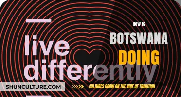 Botswana's Progress: Economy, Democracy, and Challenges in Focus
