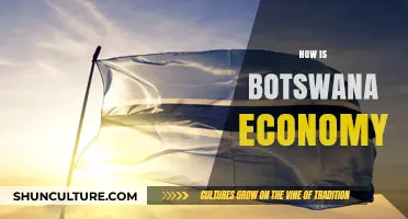 Botswana's Economic Resilience: Growth, Challenges, and Future Prospects Explored